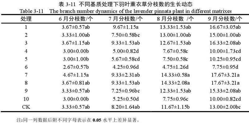 不同基质对羽叶薰衣草盆栽分枝数的影响