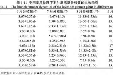 不同基质对羽叶薰衣草盆栽分枝数的影响
