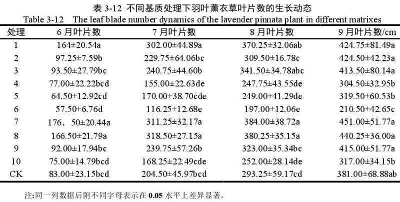 不同基质对羽叶薰衣草盆栽叶片数的影响
