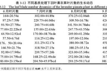 不同基质对羽叶薰衣草盆栽叶片数的影响