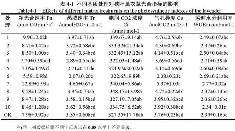 不同基质对狭叶薰衣草盆栽光合指标的影响