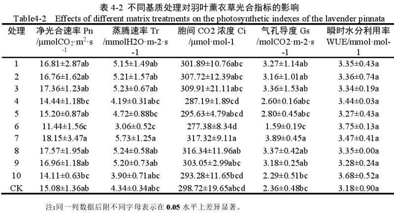 不同基质对羽叶薰衣草盆栽光合的影响