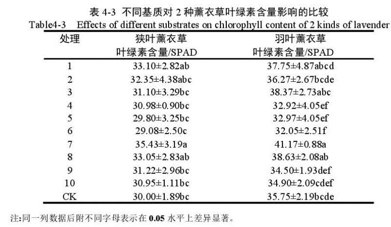 不同基质对2种薰衣草盆栽叶绿素含量的比较