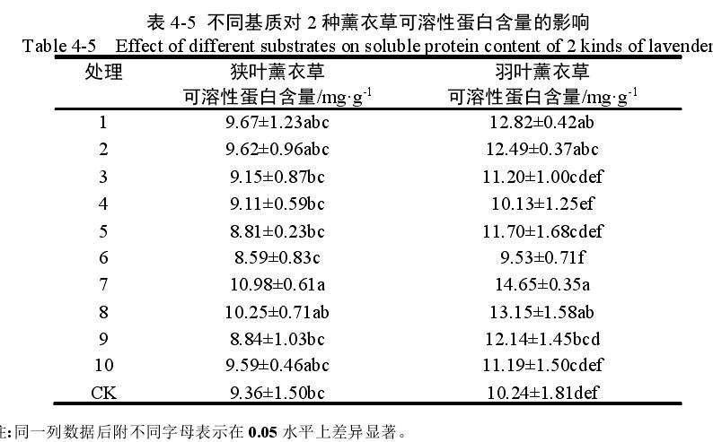 不同基质对薰衣草盆栽可溶性蛋白含量的影响