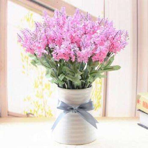 什么基质最适宜盆栽薰衣草 图片