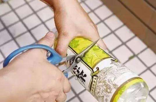 多肉怎么用塑料瓶闷养的方法 图片