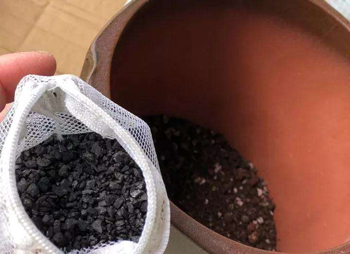 多肉植物怎么配土控养的方法 图片