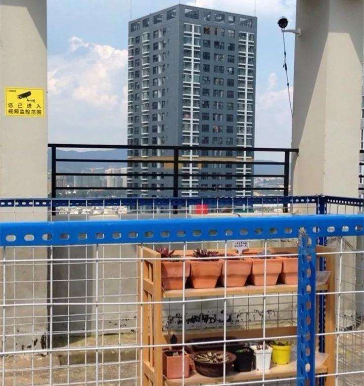 多肉植物怎么防偷的2个方法 图片