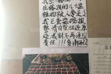 多肉植物怎么防偷的3个方法 图片