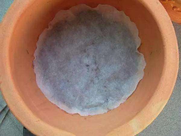 多肉植物怎么土培生根的方法 图片