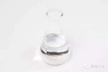 多肉植物怎么水培生根的3个步骤 图片