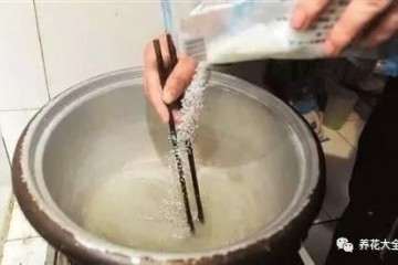 多肉植物怎么浓糖水生根的方法 图片