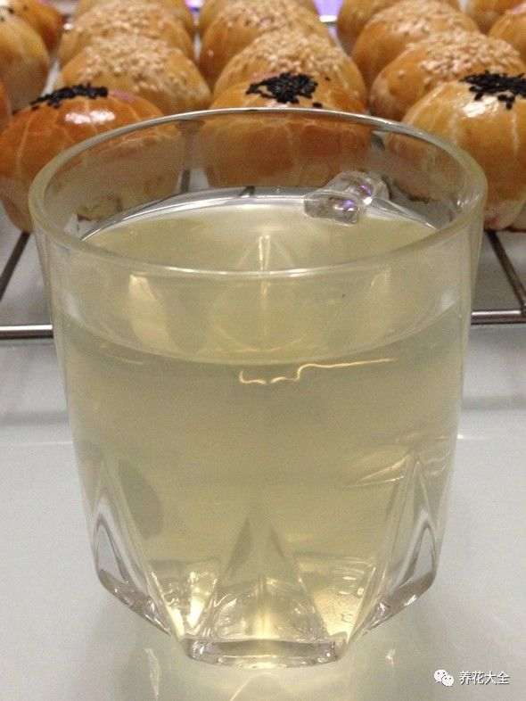 多肉植物怎么蜂蜜水生根的方法 图片 	