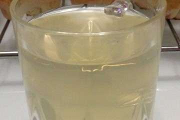 多肉植物怎么蜂蜜水生根的方法 图片