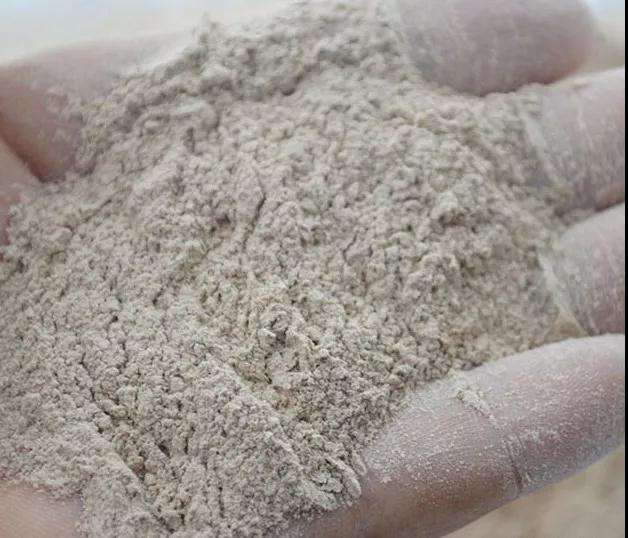 多肉植物太瘦怎么办 加骨粉 图片