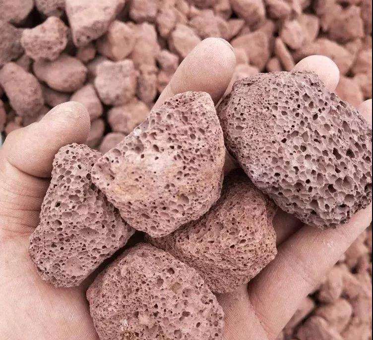 多肉植物太瘦怎么办 铺火山石 图片