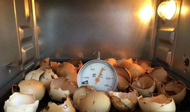 多肉植物太瘦怎么办 加蛋壳 图片