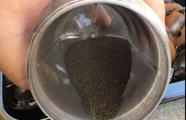 多肉植物太瘦怎么办 加蛋壳 图片