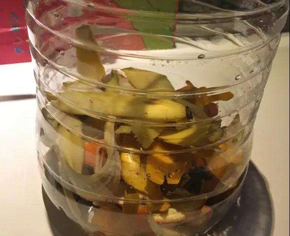 多肉植物太瘦怎么办 加果皮肥 图片 