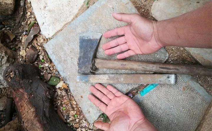 制作石头多肉植物的3个方法 图片