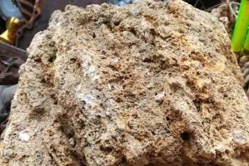 制作石头多肉植物的3个方法 图片