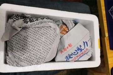 网购裸根多肉怎么检查的方法 图片