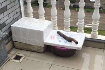 多肉植物怎么防冻的3个方法 图片