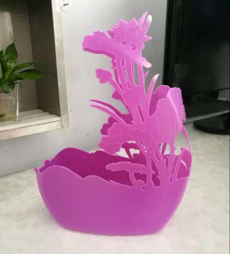 怎么用洗衣液瓶种多肉植物 图片