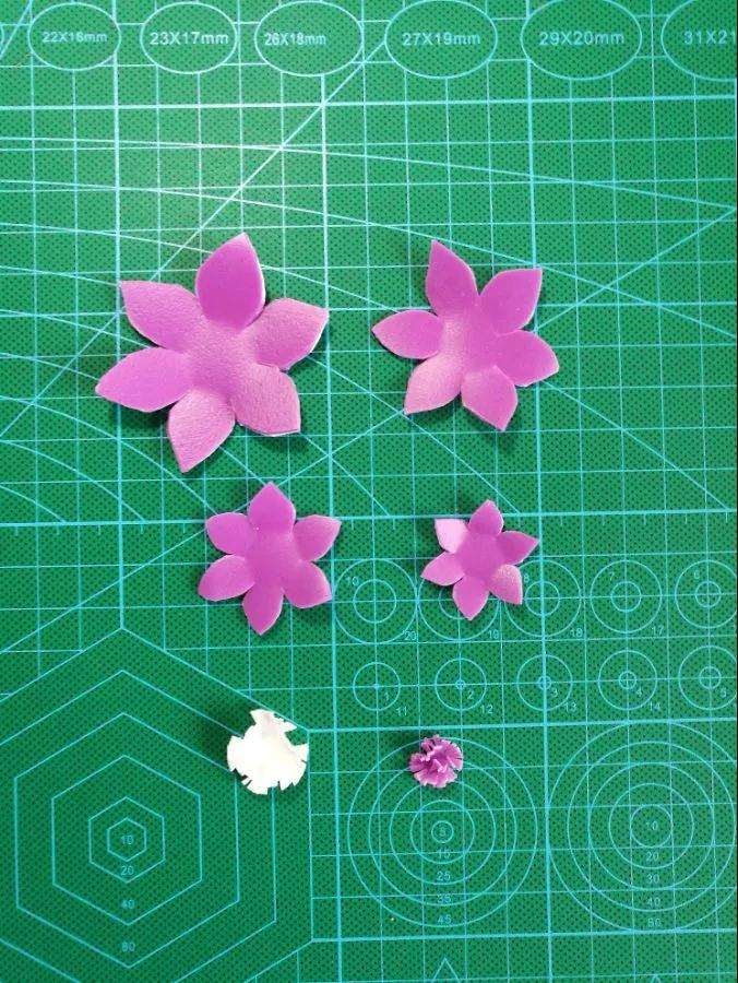 怎么用洗衣液瓶种多肉植物 图片