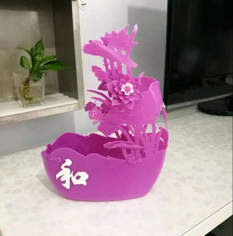 怎么用洗衣液瓶种多肉植物 图片