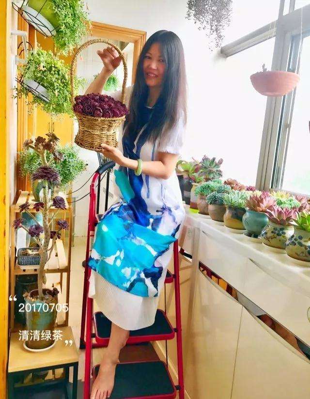 室内封闭养多肉怎么通风的方法 图片