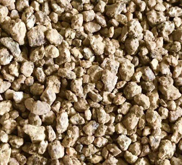 室内养多肉植物怎么配土的方法 图片