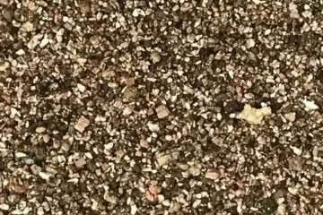 室内养多肉植物怎么配土的方法 图片