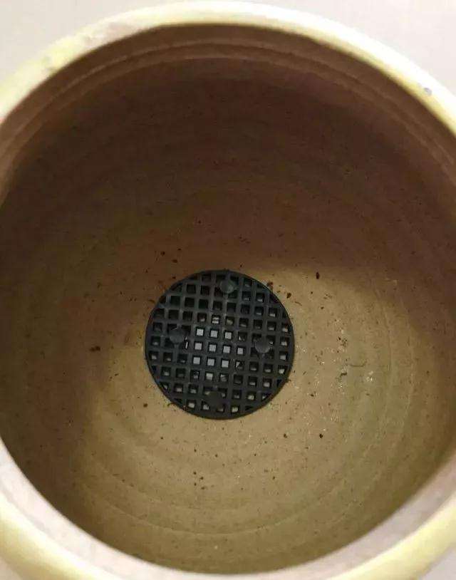 养多肉怎么用粗陶盆上盆的方法 图片