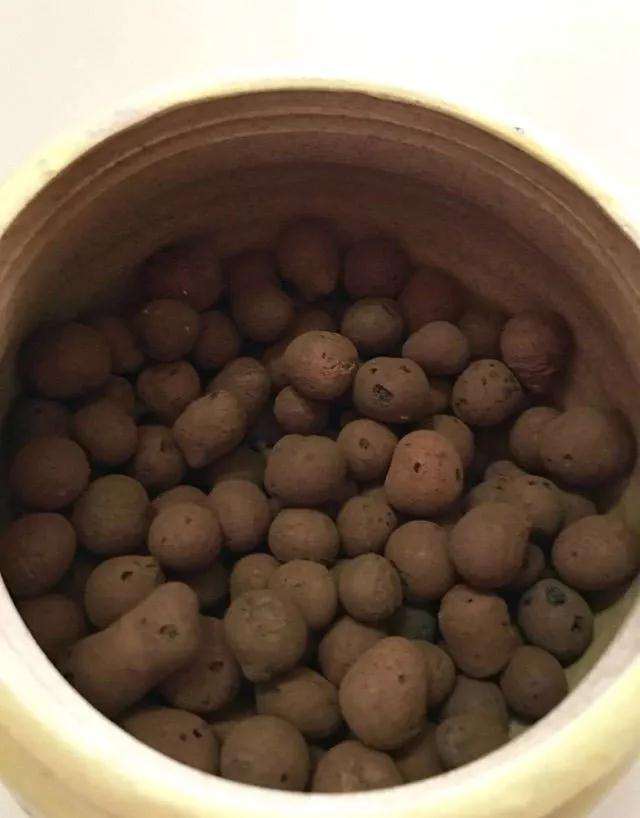 养多肉怎么用粗陶盆上盆的方法 图片