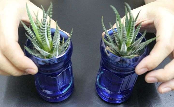 塑料瓶种多肉怎么自动补水的方法
