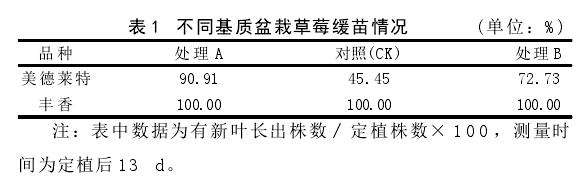 基质配方对草莓盆栽生长发育的影响