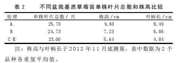 基质配方对草莓盆栽生长发育的影响