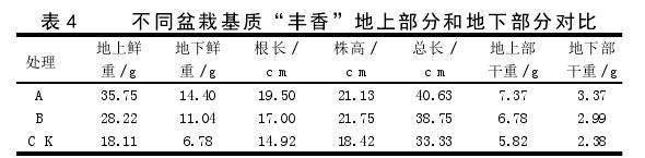 基质配方对草莓盆栽生长发育的影响