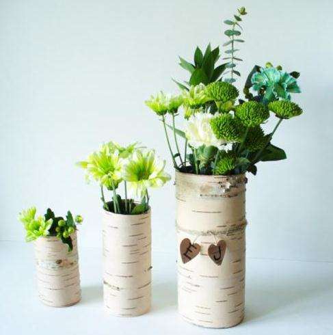 赤霉素对盆栽白桦无性系早期生长的影响