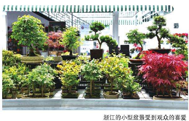 天津组合盆栽大赛选拔赛圆满结束