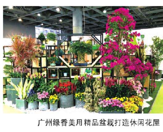 江苏富蓝为盆栽企业定制了不同配方的基质