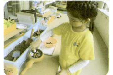 教师在班级美工怎么制作盆栽的步骤图