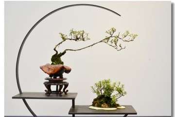 如何进一步支持孩子的学习盆栽