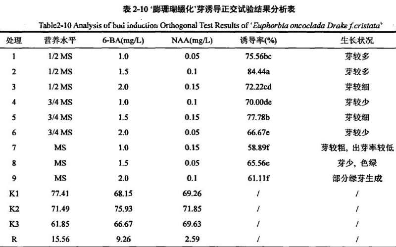 不同激素配比对膨珊瑚多肉缀化芽诱导培养研究