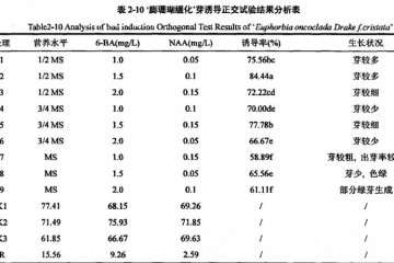 不同激素配比对膨珊瑚多肉缀化芽诱导培养研究
