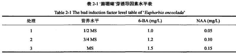 大戟3个品种多肉植株离体培养试验研究