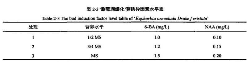 大戟3个品种多肉植株离体培养试验研究