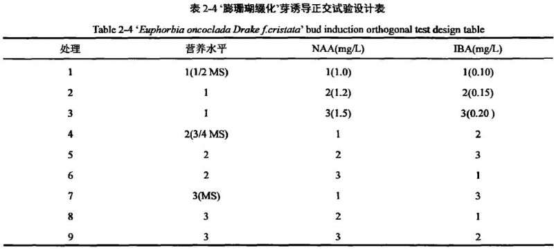 大戟3个品种多肉植株离体培养试验研究