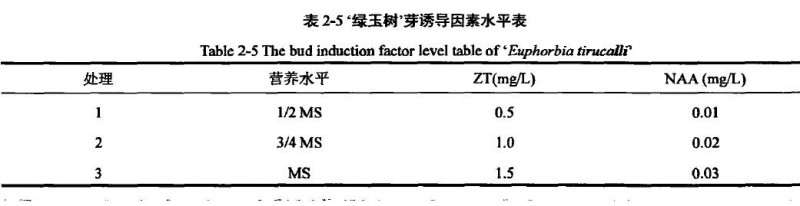 大戟3个品种多肉植株离体培养试验研究